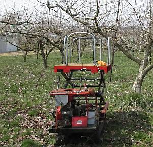 自作高所作業車　柿剪定に利用